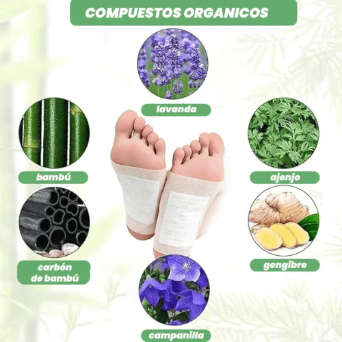 Kinoki Detox Parches Purificadores con Esencia de Oriente